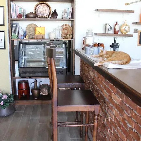 Comfy Apart W Shared Pool Near Kusadasi In Selcuk Bed & Breakfast