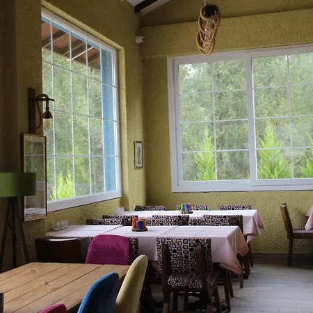 Bed & Breakfast Comfy Apart W Shared Pool Near Kusadasi In Selcuk *