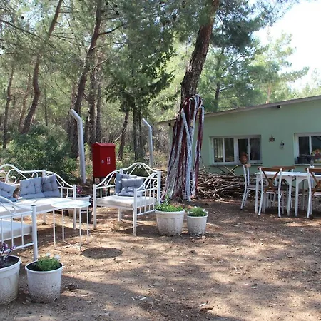 Couette-café Comfy Apart W Shared Pool Near Kusadasi In Selcuk Kirazli (Aegean)